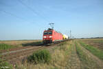 185 038-7 zieht bei Frankenthal ein gemischten Güterzug im Gegengleis.