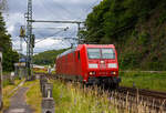 Die 185 181-5 (91 80 6185 181-5 D-DB) der DB Cargo AG rauscht als Lz (Lokzug)/ Tfzf (Triebfahrzeugfahrt) am 16 Juni 2024 durch den Bahnhof Scheuerfeld (Sieg) in Richtung Köln.

Die Bombardier TRAXX F140 AC 1 wurde 2004 von der Bombardier Transportation GmbH in Kassel unter der Fabriknummer 33665 gebaut.
