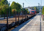 Die 187 177 (91 80 6187 177-1 D-DB) der DB Cargo AG fährt am 17 September 2024 mit einem gemischten Güterzug durch Kirchen (Sieg).

Die Bombardier TRAXX F140 AC3 wurde 2018 von der Bombardier Transportation GmbH in Kassel unter der Fabriknummer 35507 gebaut. Die TRAXX F140 AC3 Varianten der DB Cargo (BR 187.1) haben keine Last-Mile-Einrichtung. Die Höchstgeschwindigkeit beträgt 140km/h. Die Lok hat nur die Zulassung für Deutschland. Die Lokomotiven können in gemischter Mehrfachtraktion mit BR185 und BR186 eingesetzt werden.
