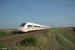 0812 086 als ICE 275 Frankfurt/Main - Interlaken Ost bei Frankenthal.