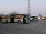 Verschiedene Busse der MVVG in Neubrandenburg.
