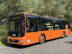 MAN Lion's City LE � der MVVG in Plau am See.