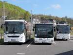 Volvo 8900 und MAN Lion's City und Volvo 8700 der VVR in Sassnitz.