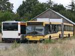 Mercedes Citaro I (ex VVR, exex moBiel GmbH) und Mercedes O 405 GN2 (ex Dahmetal, exex Dresdner Verkehrsbetriebe (DVB)) in Goldenst�dt.
