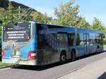 MAN Lion's City der VVR in Sassnitz.