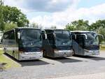 Setra 416 HDH und Setra 516 HD von Boddensegler aus Deutschland in Marlow.