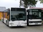 Mercedes Citaro I von B.B.-Reisen und Setra 315 UL von Becker-Strelitz Reisen aus Deutschland in Neustrelitz.