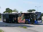 MAN Lion's City der Rostocker Stra�enbahn AG in Rostock.