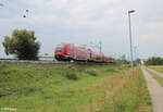1462 038 als RE20 4790 Nürnberg - Bamberg - Würzburg kur vor Zeil am Main.