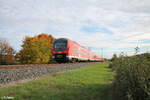 440 307-7 als RB53 58022 Karlstadt - Bamberg bei Thüngersheim.
