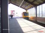 VT650.81 rollt in Frankfurt/Oder ein.