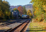 Herbstzeit oder Indian Summer in Herdorf.....