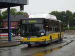 Wagen 114 von Steinbrck, ein N4521 CNG (ex HARU), ist am 12.07.17 auf der Linie A unterwegs.
