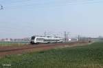 442 als S1 37130 Wurzen - Leipzig Miltizer Allee bei Borsdorf.