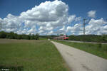 442 265 als S1 Neumarkt/Oberpfalz bei Plling.