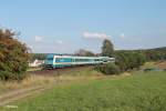 223 063 mit dem ALX84110 München - Hof bei Großschlattengrün.