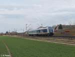 223 081 Überführt ein Alexwagen von Zwiesel nach Regensburg bei Obertraublingen.