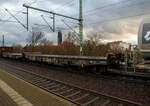 Zwei sechsachsige Drehgestell-Flachwagen mit, mit Einsteck-Rungen, Stirnwandklappen und klappbaren Ladeschwellen, jedoch ohne Seitenwandklappen, der Gattung Samms 710, der DB Cargo AG, vorne der 31 80