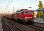 Die „Ludmilla“ 233 322-8 (92 80 1232 280-8 D-DB) der DB Cargo, ex DR 132 280-9, fährt am 19.09.2018 mit einem gemischten Güterzug durch den Hauptbahnhof Brandenburg an der Havel.