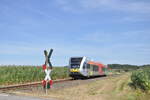 646 419 ist am 30. Juli 2020 mit seiner RB 48 nach Friedberg(Hess) unterwegs und passiert dabei einen unbeschränkten Bahnübergang zwischen Häusherhof und Echzell.
Nur noch bis Dezember 2022 kommen Züge der Baureihe 646 auf der RB 48 zum Einsatz, zum Fahrplanwechsel übernehmen fabrikneue Züge des Typs 1648. 