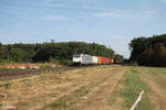 186 421-4 zieht mit einem Containerzug durch die Netztrennstelle Mainz Bischofsheim.
