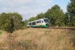 VT21 als VBG81127 Marktredwitz - Schwandorf bei Schnfeld.