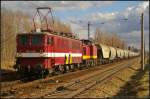 EBS 142 110 und 202 487 (ex Lappwaldbahn V100-122) durchfuhr am 22.02.2014 von Bad Schandau kommend Leipzig-Thekla weiter nach Zeitz