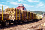 Beladener vierachsiger Drehgestell-Flachwagen (Holzwaggon) mit Niederbindeeinrichtung (Ladungssicherungssystem „Autonordic“) und Rungensystem ExTe (SR8), 81 80 4723 180-3 D-TWA, der