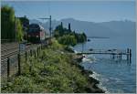 Ein Versuch eines Gegenlichtbildes im Lavaux, wobei das Motiv, die Bahn eigentlich gar keines ist, da der Blick durch die Landschaft mit dem Kleinen See abgelenkt wird.