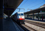 Die an die SBB Cargo International AG vermietete und bei der BLS Cargo AG in Italien eingestellte 186 919  Olimpino  (91 83 2186 909-4 I-BLSC) der AKIEM SAS, fährt am 11 Juli 20022 mit einem RoLa-Zug (Rollende Landstraße) der RAlpin AG, von Freiburg i. B. nach Novara, durch den Bahnhof Spiez. 

Die TRAXX F140 MS wurde 2008 von Bombardier in Kassel unter der Fabriknummer 34370 gebaut und hat die Zulassungen für Deutschland, Österreich, Schweiz und Italien. Ursprünglicher Eigentümer war das Leasingunternehmen CBRail S.à r.l., ab 2013 dann Macquarie European Rail Limited (Luxembourg) und nun die AKIEM SAS, die das Leasinggeschäft für Schienenfahrzeuge der Macquarie Europeto Rail im April 2020 erworben hat.
