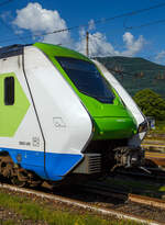 Detailbild des Trenord „Caravaggio“ ETR 421-042 (94 83 4441 842-5 I-TN / 94 83 4441 042-0 I-TN) ein vierteilige Hitachi Caravaggio am 25 Mai 2023 im Bahnhof Domodossola.

Die Trenord S.r.l. (Tn) ist eine italienische Eisenbahngesellschaft, die hauptsächlich den Regionalverkehr in der Region Lombardei betreibt. Die Gesellschaft wurde 2009 durch Fusion der Regionaldirektion von Trenitalia mit der LeNord (Betriebszweig der Ferrovie Nord Milano) mit dem Namen Trenitalia LeNord gegründet. Am 30. April 2011 bekam sie ihren heutigen Namen Trenord.

Trenord betreibt die S-Bahn Mailand, den Malpensa Express und den Regionalverkehr auf den Strecken der Rete Ferroviaria Italiana und Ferrovienord.

Rollmaterial
Das Rollmaterial des Unternehmens besteht aus Elektrolokomotiven, Diesellokomotiven und Wagenzügen, Elektrotriebzügen, Verbrennungstriebwagen und -züge. Es entstand im April 2011 durch die Übernahme der Flotte des Regionalen Personenverkehrs der Trenitalia in den Depots Mailand-Fiorenza, Lecco und Cremona sowie der von LeNord verwalteten Flotte in den Depots Novate Milanese und Iseo.

Das neue Depot Camnago-Lentate wurde 2013 eröffnet. Die Depots Novate und Camnago sind auf die Wartung von Elektrozügen spezialisiert, die Depots in Lecco und Cremona auf die Wartung von Elektrozügen und Triebwagen, und das Depot Iseo ist auf die Wartung von Diesel-Triebwagen spezialisiert. Das Depot Mailand-Fiorenza betreut verschiedene Arten von Elektrofahrzeugen.

Im Jahr 2017 startete die Region Lombardei ein neues Investitionsprogramm, das die Inbetriebnahme von 161 Zügen bis 2025 im Gesamtwert von 1.607 Millionen Euro (1,67 Milliarden) vorsieht. Zusätzlich wurden im Rahmen des Dienstleistungsvertrags neun interoperable Züge von Trenord erworben.

Unter Verwendung der Auktionsrabatte (Option) aus den beiden zuvor vergebenen Aufträgen wurde 2019 der Kauf von 15 weiteren Zügen zusätzlich zu den bereits geplanten 161 Zügen finanziert, wodurch sich die Gesamtbestellung von 176 neuen Zügen auf 176 erhöhte. Die Bestellung dieser 176 Züge unterteilt sich, wie folgt, in:

105 Doppelstock-Elektrozüge vom Typ Hitachi „Caravaggio“, als Baureihe 
ETR 421, ETR 521 oder ETR 521 S1 (ETR von italienisch ElettroTreno Rapido), ähnlich den „ROCK“ der Trenitalia. So hat ein fünfteiliger Zug der Trenord

30 dieselelektrische und -batterien Hybridzügen ATR 803 «Colleoni» von Stadler Rail

41 Elektrozüge vom Typ Alstom Coradia Stream als Baureihe ETR 103 / ETR 104 von der TN „Donizetti“ genannt, ähnlich den „POP“ der Trenitalia.

Die ersten „Caravaggio“-Züge wurden im Mai 2020 in Betrieb genommen, die ersten „Donizetti“-Züge im Juli 2020 und die ersten „Colleoni“-Züge im September 2022.

Einige Züge werden von Ferrovienord oder Trenitalia geleast, andere sind Eigentum der Region Lombardei oder werden von ihr ausgeliehen.

Das eingesetzte Rollmaterial ist wie folgt:

•	Elektrolokomotiven: 
•	E.464 (Bombardier TRAXX P160 DCP)
•	Diesellokomotiven:
•	D.445
•	DE520
•	D.744
•	Reisezugwagen:
•	Niederflur-Reisezugwagen
•	Mittelstreckenwagen (MDVC)
•	Doppelstockwagen Typ 1979  Casaralta 
•	Doppelstockwagen der 1. Serie, Typ NCDP
•	Doppelstockwagen der 2. Serie, Typ CDPTR
•	Elektrotriebzüge (ETR) und Elektrotriebzüge (ALe):
•	Doppelstock-Elektrotriebzüge, Typ Treno Servizio Regionale (TSR)
•	Doppelstock-Elektrotriebzüge, Typ Treno Alta Frequentazione (TAF)
•	Elektrotriebwagen der Baureihen ALe 582
•	ETR 245 (Alstom Coradia Meridian) - Malpensa Express (Flughafenshuttle)
•	ETR 425 und ETR 526 (ähnlich den „Jazz“ von Trenitalia)
•	Doppelstock-Elektrotriebzüge Hitachi „Caravaggio“ ETR 421, ETR 521 und ETR 521 S1 (auch ETR 522) ähnlich den „Rock“ von Trenitalia)
•	Alstom Coradia Stream Elektrotriebzüge „Donizetti“ ETR 103, ETR 104 und ETR 204 (ähnlich den „Pop“ von Trenitalia
•	Diesel- bzw. Hybridzüge (ATR) und Triebwagen (ALn):
•	Dieseltriebwagen ALn 668 von der Trenitalia übernommen
•	Dieseltriebwagen ALn 668, der Serie 130 und 140, von FNM übernommen
•	Dieseltriebwagen ATR 125, Typ Stadler GTW 4/12
•	Dieseltriebwagen ATR 115, Typ Stadler GTW 2/6
•	Hybridtriebzügen ATR 803 „Colleoni“, Typ Stadler FLIRT IBRIDO (dieselelektrisch und -batterie)

Im Jahr 2015 waren 45 % der Trenord-Flotte noch über 35 Jahre alt, das Durchschnittsalter der gesamten Flotte betrug 22 Jahre. Mit der Erneuerung des Rollmaterials sank das Durchschnittsalter der Flotte im Jahr 2021 auf 19 Jahre und im Jahr 2023 auf 15 Jahre. 

Die Trenord verfügt zudem über 4 FLIRT-Züge (ETR 524) aus der TiLo-Flotte, die auf den Strecken S10/RE, S30, S40 und S50 im italienischen Netz eingesetzt werden.
