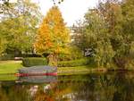 Zoeterwoudse Singel Herbstfarben. Leiden 20-10-2018.

Zoeterwoudse Singel herfstkleuren. Leiden 20-10-2018.