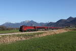 1116 240 war am 8. April 2026 bei Bernau am Chiemsee in Richtung Rosenheim unterwegs.