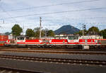 Dieter und Robert mit einem Containerzug....
Die beiden gekuppelten BB 1163, die BB 1163 002-9 „Dieter“ (A-BB 91 81 1163 002-9) und die BB 1163 008-6 „Robert“ (A-BB 91 81 1163 008-6) fahren am 12.09.2022 vom Container Terminal Salzburg kommend, mit einem Containerzug durch dem Hauptbahnhof Salzburg.

Beide Loks wurden 1994 von der SGP Simmering-Graz-Pauker AG (ab 1996 Siemens SGP Verkehrstechnik GmbH) unter den Fabriknummern 80835 und 80841 gebaut, die elektrische Ausrstung ist von ABB-Brown-Boveri-Werke AG und der ELIN Antriebstechnik GmbH. 

Die Reihe 1163 ist eine vierachsige, elektrische Verschublokomotive (Rangierlokomotive) der sterreichischen Bundesbahnen (BB). Sie stellt eine Weiterentwicklung der BB Reihe 1063 dar und gilt als „Flsterlok“. Die Lieferung der Reihe 1063 endete im Herbst 1991, whrend deren fast neunjhrigem Lieferzeitraum gewann die Halbleitertechnik noch mehr Dominanz im Triebfahrzeugbau, so flossen die gemachten Fortschritte in die Nachfolgebaureihe ein.

Mechanischer Teil:
Die Grundkonzeption stammt von der Vorgngerreihe 1063. Der Lokrahmen zieht sich ber die ganze Lnge. Auf ihm sitzen die beiden im Gegensatz zur Vorgngerreihe wesentlich niedrigeren und schmleren Vorbauten. Dazwischen ist der nach auen „gewlbte“ Fhrerstand angeordnet, der wie bei den beiden Reihen 1063 und 2068 ber vier Bedienpulte verfgt, aber eine verbesserte Rundum-Sicht aufweist. Vor den Vorbauten sind beidseitig Verschieberplattformen angebracht. Zwei zweiachsige Drehgestelle tragen den Lokrahmen. Der Transformator befindet sich unter dem Fhrerstand, die Fahrmotoren liegen in den Drehgestellen. Die Zug- und Bremskraftbertragung erfolgt am tiefliegenden Drehzapfen. 

Elektrischer Teil:
Das Dach trgt einen Einholmstromabnehmer (Bauart VIII) samt Hauptschalter und Dachleitungen. Ein liegender Transformator mit lkhlung speist den Strom zum Netzstromrichter, der aus zwei ausgangsseitig parallel geschalteten Vierquadrantenstellern in GTO-Technik besteht. Der Gleichspannungszwischenkreis betrgt 2500 V, die Resonanzfrequenz des Saugkreises 33,3 Hz. Der Antriebswechselrichter besteht aus drei gleichen GTO-Phasenmodulen, die parallel zum Zwischenkreis geschaltet sind und je eine Phase fr die Fahrmotoren liefern. Die vier Motoren und das Antriebskonzept entsprechen der Reihe 1063, ebenso das Bremssystem, das auerdem ber eine Rekuperationsbremse verfgt. Die Loks verfgen auch ber Sifa und Indusi. 

TECHNISCHE DATEN:
Gebaute Anzahl: 20 (1163 001 bis 1163 020)
Spurweite:  1.435 mm (Normalspur)
Achsformel:  Bo’Bo’
Begrenzungslinie : UIC 505-1
Lnge ber Puffer:  16.400 mm
Drehzapfenabstand:  8.100 mm
Achsabstand in Drehgestell:  2.800 mm
Raddurchmesser:  1.145 mm (neu) / 1.065 mm (abgenutzt) 
Dienstgewicht: 80 t
Radfahrmasse: 20 t
Meterlast: 4.878 kg
Hchstgeschwindigkeit: 100 km/h 
Dauernennleistung:  1.600 kW
Maximalleistung: 2.000 kW 
Anfahrzugkraft:  260 kN
Stromsysteme: 15kV/16,7Hz
Antriebsart: GTO-Stromrichter und 4 Drehstrom Fahrmotoren und Tatzlagerantrieb
Motorentyp:  6FRA 5272
Zugelassen fr Streckenklasse: D2 oder hher
Kleinster befahrbarer Gleisbogen (Vmax= 10 km/h): R = 100 m
Bremsbauart: KE-GPR-E m Z
Dynamisches Bremssystem: Elektrodynamische Rckspeisebremse
Max. Bremskraft der dynamischen Bremse: 120 kN

Quellen: BB, BB-Produktion GmbH und Wikipedia