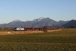 1116 233  Saalbach  aus Salzburg kommend am 19.