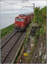 Nachdem ein Umleitungszug bei feuchtem Wetter infolge Sandmangel stecken geblieben war, musst der Hilfszug ausrücken: Der SBB XTmas 99 85 9174 004-3 bzw.