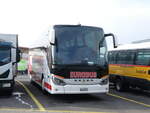 (271'728) - Eurobus, Bern - Nr. 1/BE 379'901 - Setra am 8. Februar 2025 in Kerzers, Interbus
