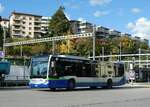 (242'902) - TPL Lugano - Nr.