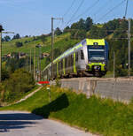 Zwei gekuppelte  Lötschberger  der  BLS RABe 535 103 und der BLS RABe 535 120 fahren am 08.09.2021,als RE 4274 (RegioExpress) Domodossola – Brig – Kandersteg – Spiez –