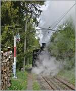 Die BFD HG 3/4 n° 3 auf der kurzen Fahrt vom  BW Chaulin  zum Museumsbahnhof.