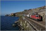 Bei einem Ausflug in Lavaux suchte ich auch meine  Lieblingsfotostelle  zwischen St-Saphorin und Rivaz auf und fotografiert die SBB Re 4/4 II 11271 (Re 420 271-9 ) die mit einem kurzen Güterzug