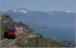 Die SBB Re 460 103-5  Heitersberg  ist mit ihrem RE 30268 von St-Maurice nach Genève Aéroport zwischen Vevey und Chexbres unterwegs.