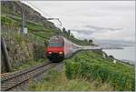 Nachdem beim Umleitungsverkehr via die  Train des Vignes  Strecke sich die SBB Re 460 089-6 mit ihrem RE 30630 an mir vorbeigequält hatte, um kurz ihre Fahrt und meine Fototour abzubrechen, war