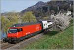 Frühling an der Riviera Vaudoise - die SBB Re 460 073-0  Monte Ceneri  ist bei Villeneuve mit einem IR 90 auf dem Weg nach Brig.