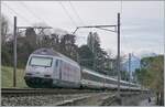 Selten habe ich eine neue Werbelok so oft gesehen und so (bisher) so schlecht vor die Lise bekommen wie die SBB Re 460 061-5  150 Jahre Schindler .