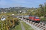 2020-10-19, SBB CFF FFS Bossière VD
locomotive électrique Re 460 035

© la photo vous intéresse merci de me contacter
photos-vietti-violi@ik.me

https://www.flickr.com/photos/ovietti-violi/50507000496/in/album-72157642376332465/