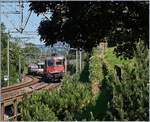 Die SBB Re 6/6 11685 (Re 620 085-1)  Sulgen  schlängelt sich mit ihrem Güterzug auf der Fahrt in Richtung Wallis hinter dem Château de Chillon durch.