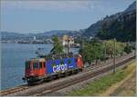 Die SBB Re 6/6 11613 (Re 620 013-3)  Rapperswil  kurz nach Villeneuve beim Château de Chillon als Lokzug auf der Fahrt in Richtung Lausanne.