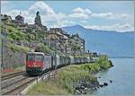 Die SBB Re 6/6 11679 (Re 620 079-4)  Cadenazzo  ist mit dem Novelis Güterzug bei St-Saphorin auf dem Weg von Sierre nach Göttingen. 

19. Mai 2025