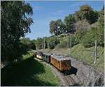 50 Jahre Blonay - Chamby Bahn; die Bernina Bahn Ge 4/4 81 ist bei Sonzier mit dem Riviera Belle Epoque Zug auf der Fahrt nach Montreux.